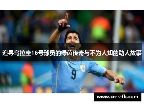 追寻乌拉圭16号球员的绿茵传奇与不为人知的动人故事
