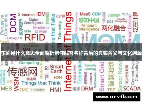 东超是什么意思全面解析帮你解答名称背后的真实含义与文化渊源