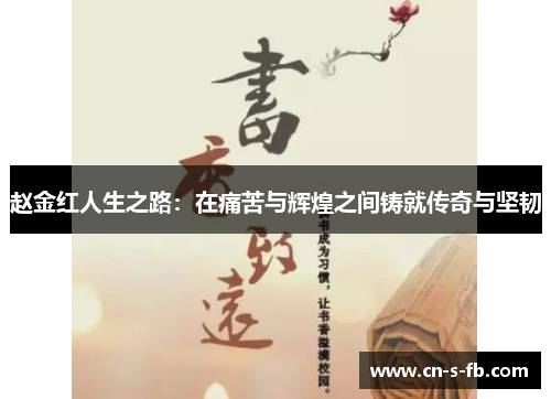 赵金红人生之路：在痛苦与辉煌之间铸就传奇与坚韧