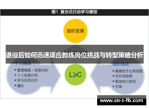 退役后如何迅速适应教练岗位挑战与转型策略分析