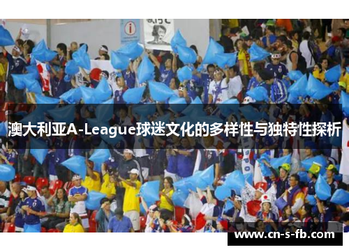 澳大利亚A-League球迷文化的多样性与独特性探析