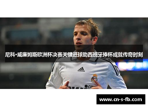 尼科·威廉姆斯欧洲杯决赛关键进球助西班牙捧杯成就传奇时刻