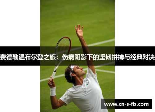 费德勒温布尔登之旅：伤病阴影下的坚韧拼搏与经典对决