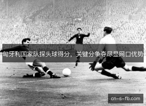 匈牙利国家队探头球得分,关键分争夺尽显网口优势 匈牙利国家队探头球得分,关键分争夺尽显网口优势